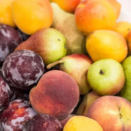 Western Modena District Campogalliano